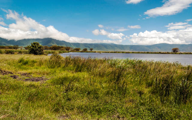 Cover Image for Adavale Resources granted ex-BHP tenements near Kabanga nickel project
