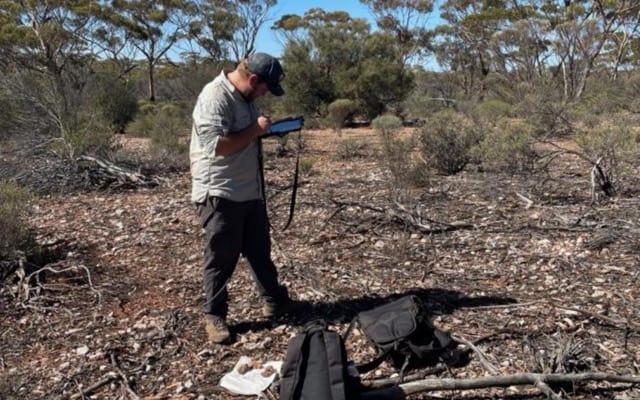 Cover Image for Alchemy Resources to drill large anomalies at Karonie lithium project