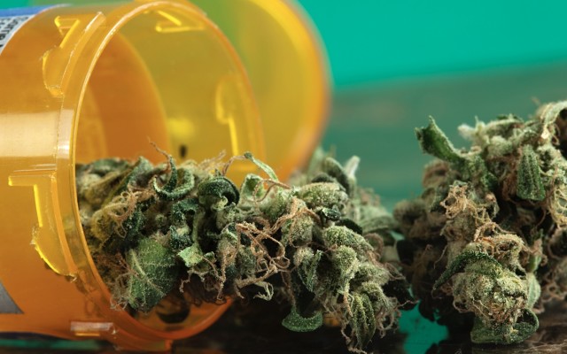 Cover Image for Althea gets set for German market expansion after executing supply agreement with Nimbus Health