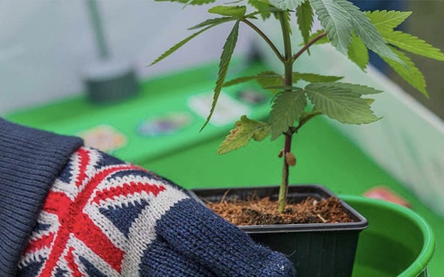 Cover Image for Althea’s MyAccess Clinics boosts UK expansion, teams up with Drug Science