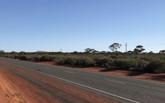 Cover Image for Ardea Resources upgrades cobalt resource for Goongarrie pre-feasibility study