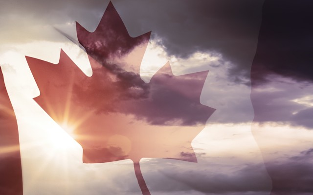Cover Image for European Cobalt options Canadian gold property where drilling has hit high-grade mineralisation