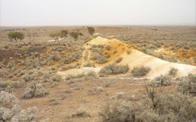 Cover Image for Auroch Minerals scoops ‘spectacular’ polymetallic results in South Australia
