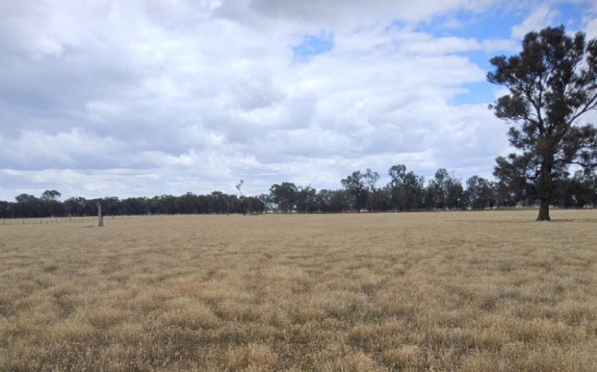 Cover Image for Australian Rare Earths sees major growth potential at Koppamurra with 27% MRE boost