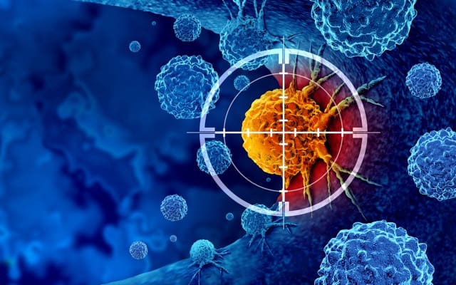 Cover Image for Avecho Biotechnology gains traction on commercialising TPM-enhanced oncology drugs