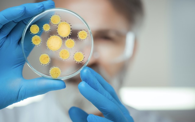 Cover Image for Botanix Pharmaceuticals receives FDA grant for antibacterial product BTX 1801