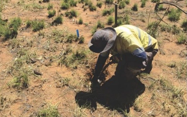 Cover Image for Buxton Resources increases West Kimberley acreage with nickel-copper-cobalt acquisition