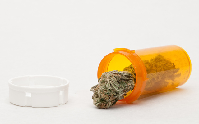 Cover Image for Cann Group and IDT Australia prepare for commercial launch of medicinal cannabis product