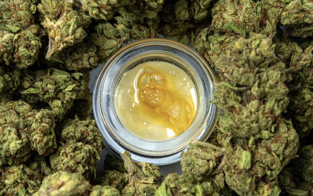 Cover Image for Cann Group and IDT Australia move closer to bringing medicinal cannabis products to market