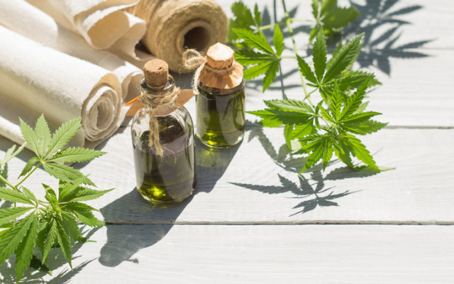 Cover Image for Cannindah Resources forges into hemp space with Annabis Hemp agreement