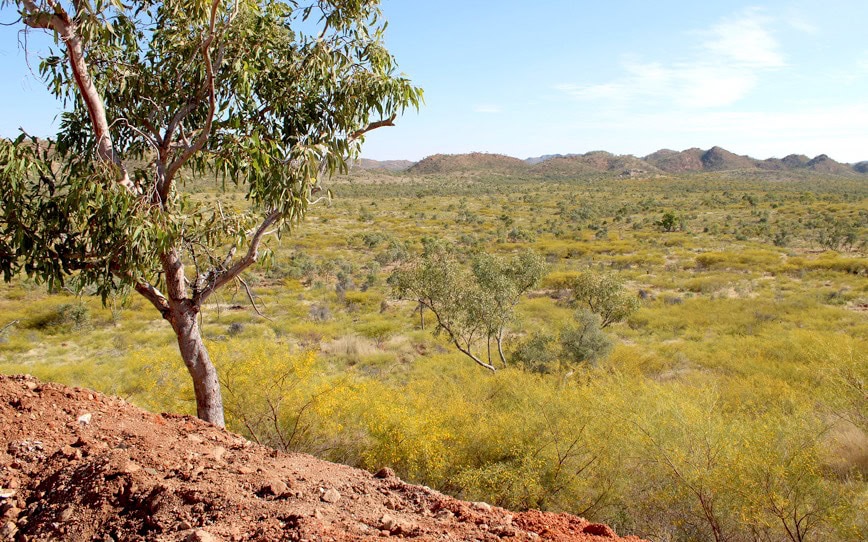 Cover Image for Carnaby Resources strikes high-grade copper-gold in maiden Trekelano drilling