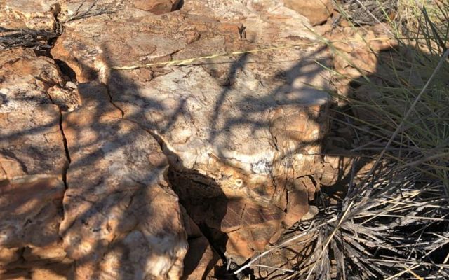 Cover Image for Carnaby Resources reveals up to 8.6% copper in Mount Birnie historical data
