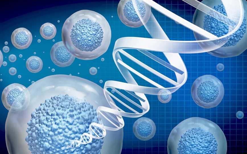 Cover Image for Chimeric Therapeutics receives ethics approval for CHM CDH17 gastrointestinal cancer trial