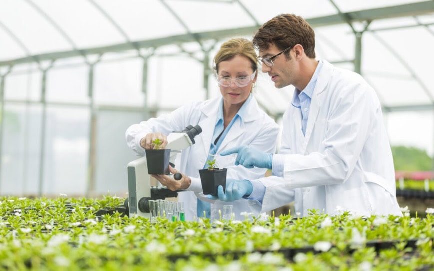 Cover Image for ClearVue Technologies subsidiary OptiCrop wins first commercial project for global agtech customer