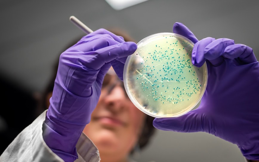 Cover Image for Clever Culture Systems wins second major order from AstraZeneca for APAS Independence instruments