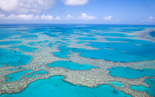 Cover Image for Coles pledges $10m to preserving Great Barrier Reef, Appen deal with Telus falls through and Boral confirms job cuts