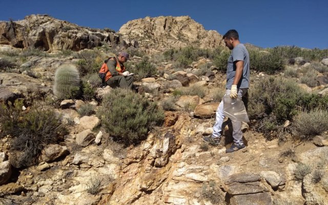 Cover Image for Dark Horse Resources confirms widespread gold and silver at Las Openas