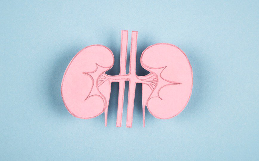 Cover Image for Dimerix secures deal to commercialise DMX-200 for treatment of rare kidney disease