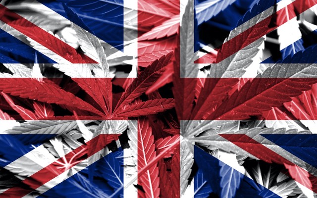 Cover Image for ECS Botanics makes first shipment of dried cannabis flower to UK