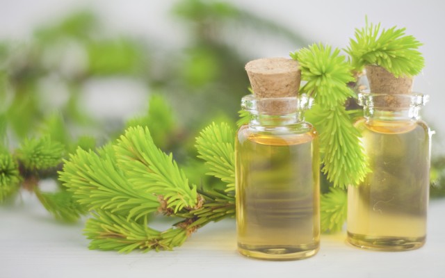 EVE Investments ASX acquires Jenbrook Australian organic tea tree oil