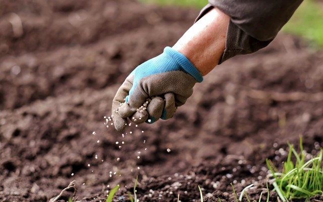 Cover Image for Fertiliser stocks surge as Russia suspends exports, Rio Tinto cuts ties, Zip continues to disappoint