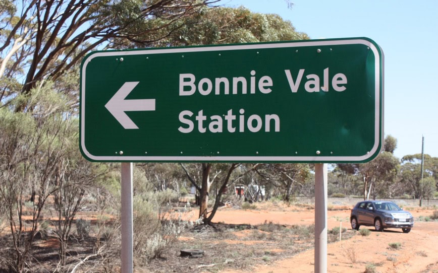 Cover Image for Forrestania Resources expands high-grade gold footprint at Bonnie Vale’s Ada Ann prospect