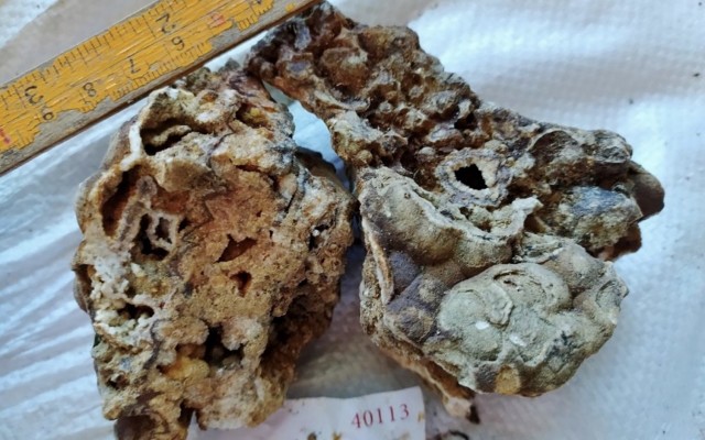 Cover Image for Frontier Resources identifies ‘significant’ gold extensions at Kimono in PNG