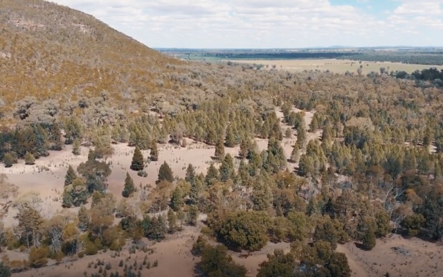 Cover Image for Gawler Craton exploration heats up as juniors step-up efforts to uncover new major deposits in South Australia
