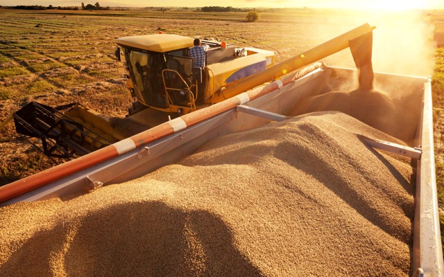 Cover Image for GrainCorp’s exports face delays, Mineral Resources opens off-market takeover bid for Norwest Energy and Magellan shares plummet