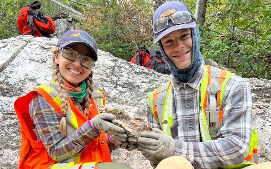 Cover Image for Green Technology Metals finds more pegmatites at Junior