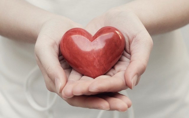 Cover Image for Health and wellness stocks that deliver prosperity and vitality