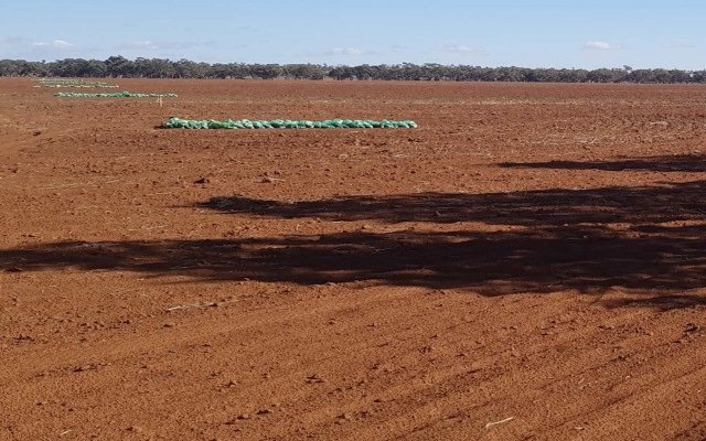 Cover Image for Hylea Metals reports ‘exceptional results’ from Tiger’s Creek polymetallic target