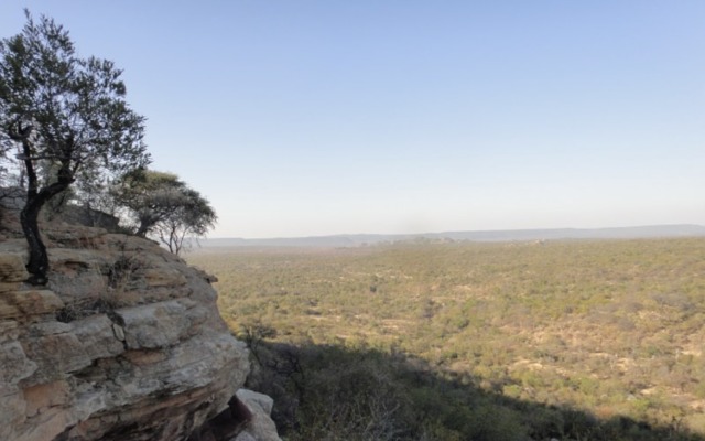 Cover Image for Impact Minerals secures new ground to expand WA nickel-copper-PGE portfolio