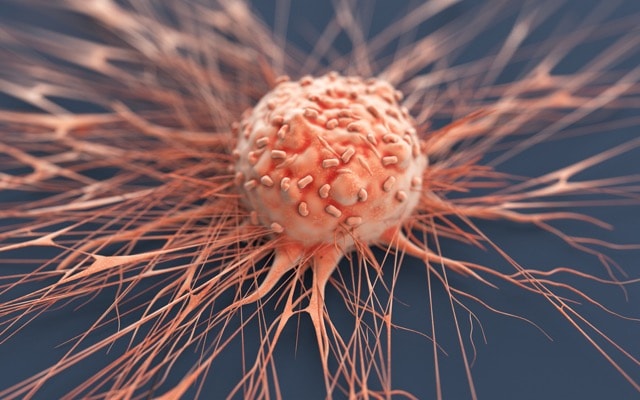 Cover Image for Imugene lifts bank balance with $12.6m rebate to progress immune-oncology therapies