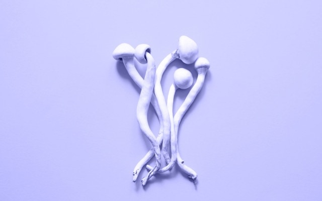 Cover Image for Incannex’s psychotherapy study delivers ‘significant’ benefits