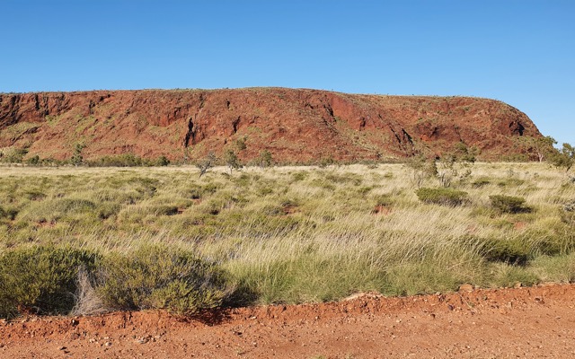 Cover Image for Iron ore juniors attracting local billionaires