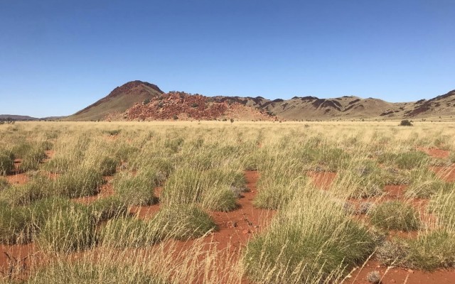 Cover Image for Portfolio review identifies large-scale lithium targets for Kairos Minerals