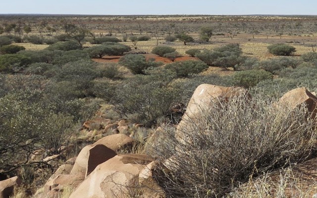 Cover Image for Latitude Consolidated options Gawler Craton project with multiple shallow gold targets