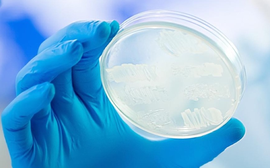 Cover Image for LBT Innovations confirms APAS PharmaQC ready for sale to global biopharma markets