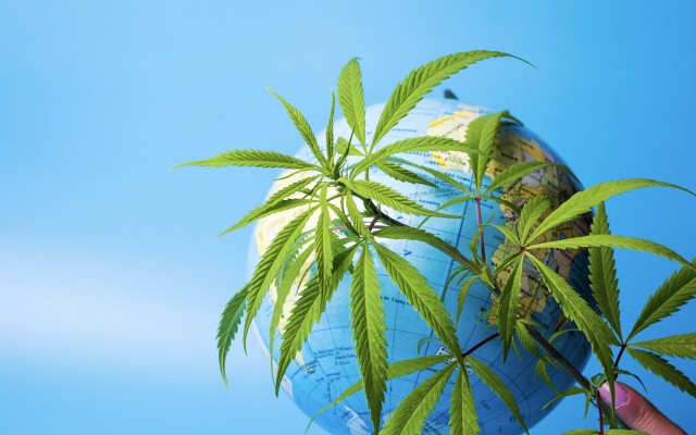 Cover Image for Lifespot Health appoints Canadian advisor to take medical cannabis technology to the world stage