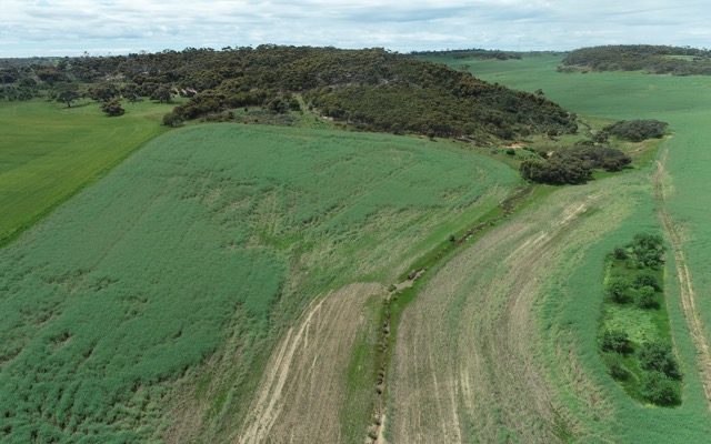 Cover Image for Lincoln Minerals resumes ASX trade with advanced graphite project and ‘reinvigorated board’