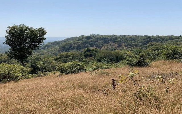 Cover Image for Lindian Resources confirms ‘stunning’ alumina grades at Gaoual bauxite project