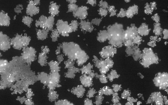 Cover Image for Lithium Power generates maiden 99.4% lithium carbonate sample from Maricunga
