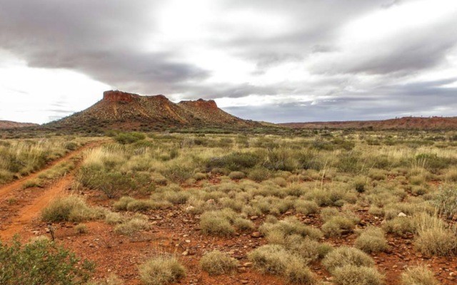 Cover Image for Lithium anomalies identified at Marindi’s Forrestania project