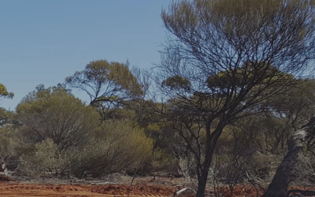 Cover Image for Marquee Resources to acquire West Spargoville project to capitalise on gold price increase