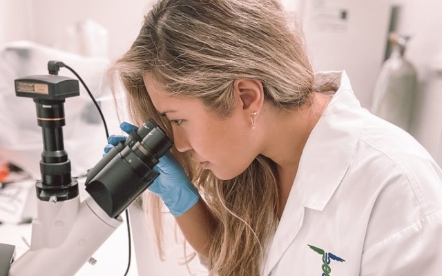 Cover Image for Medlab Clinical tops up cash reserves, builds board capabilities with new appointment