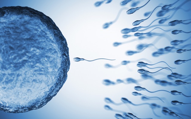 Cover Image for Peer review confirms Memphasys’ Felix system superior to conventional sperm preparation for human IVF