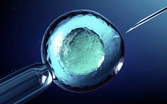 Cover Image for Memphasys partners with Swedish IVF clinic ahead of Felix commercialisation