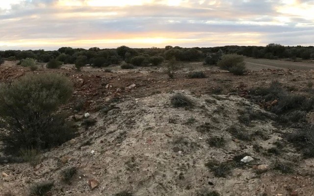 Cover Image for Metalicity and Nex Metals announce best intersections to date from Kookynie gold drilling