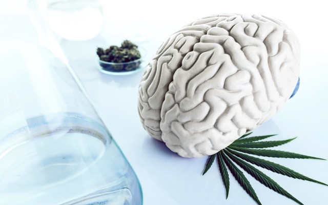 Cover Image for MGC Pharmaceuticals presents ‘ground-breaking’ research into effect of cannabis on brain cancer